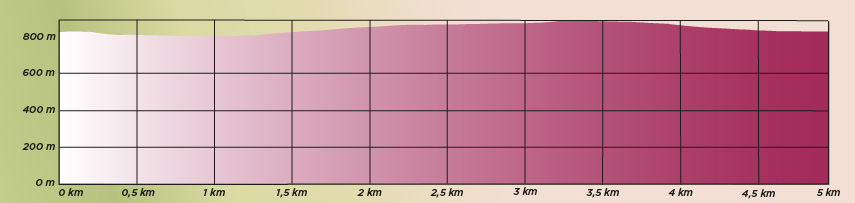 Höjdkurva 5 km